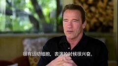 阿诺最新爆料视频大全,揭秘幕后真相与精彩瞬间