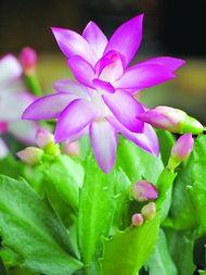 徐先生最新爆料新闻,揭秘娱乐圈最新劲爆新闻