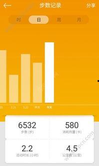 魅族手表最新爆料软件,颠覆传统，智能穿戴新篇章即将开启