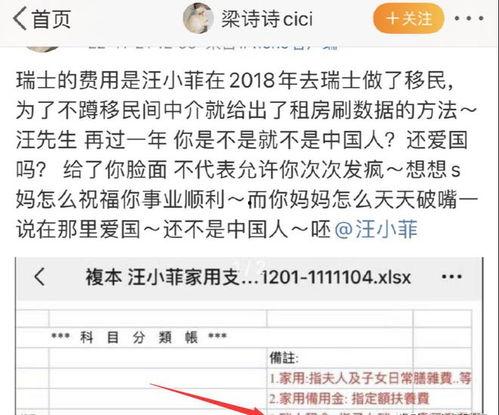 汪小菲爆料清单最新视频,揭秘清单背后的惊人真相