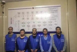 永康爆料赌博事件最新,警方重拳出击，涉案人员落网纪实