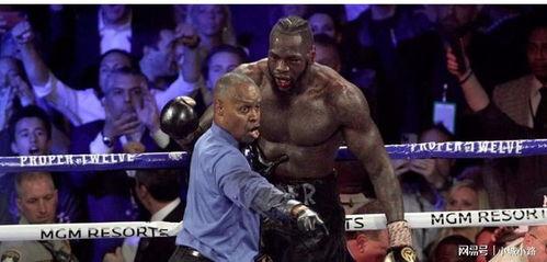 维尔德最新爆料,揭秘拳击界背后的惊人真相