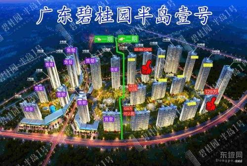 清远碧桂园爆料最新消息,揭秘项目进展与未来规划