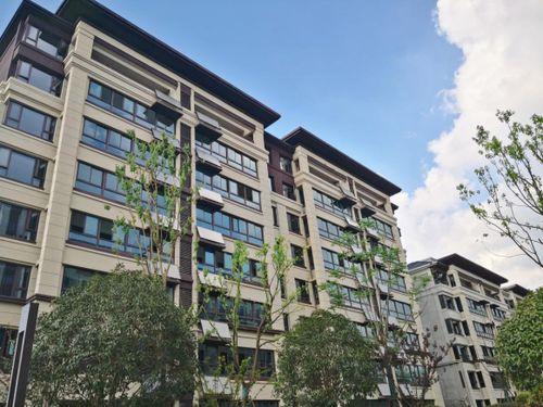 文一桃李春风最新爆料,揭秘幕后故事与精彩瞬间